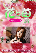 素人シリーズ 花と苺 Jr Vol.347