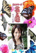 素人シリーズ 花と蝶 Vol.379