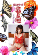 素人シリーズ 花と蝶 Vol.387