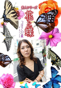 素人シリーズ 花と蝶 Vol.404