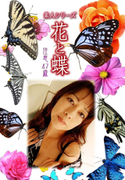 素人シリーズ 花と蝶 Vol.440
