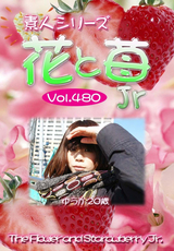 素人シリーズ 花と苺 Jr Vol.480