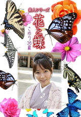 素人シリーズ 花と蝶 Vol.481