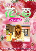 素人シリーズ 花と苺 Jr Vol.482