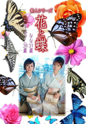 素人シリーズ 花と蝶 Vol.482