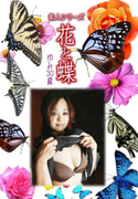 素人シリーズ 花と蝶 Vol.919