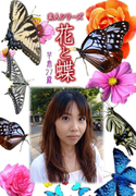 素人シリーズ 花と蝶 Vol.954
